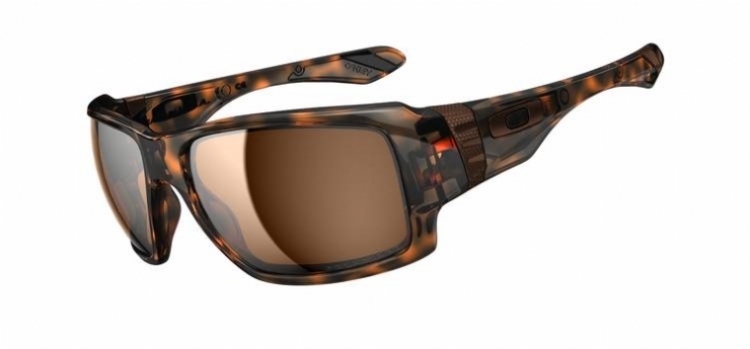  bronze polarized/brown tortoise