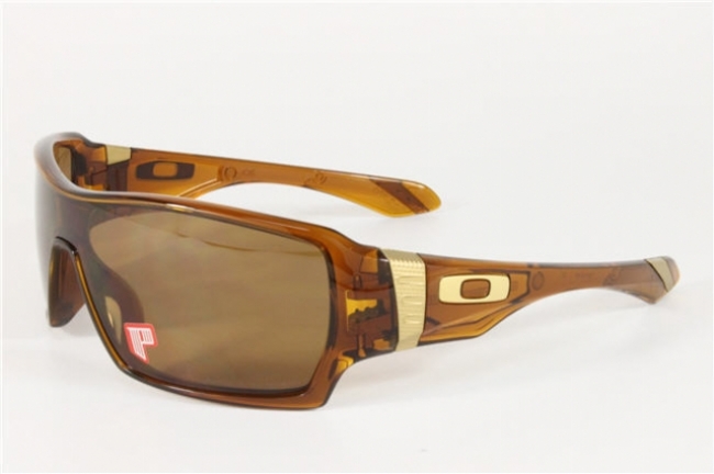  bronze polarized/dark amber