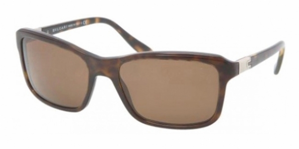  brown polarized/dark havana