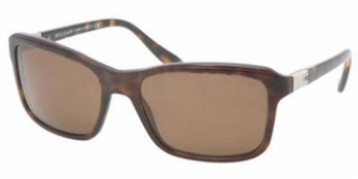  brown polarizedized/dark havana