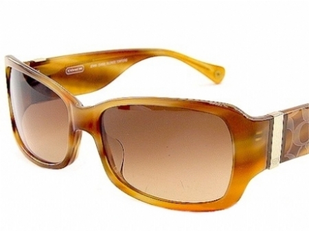  light brown/blonde tortoise