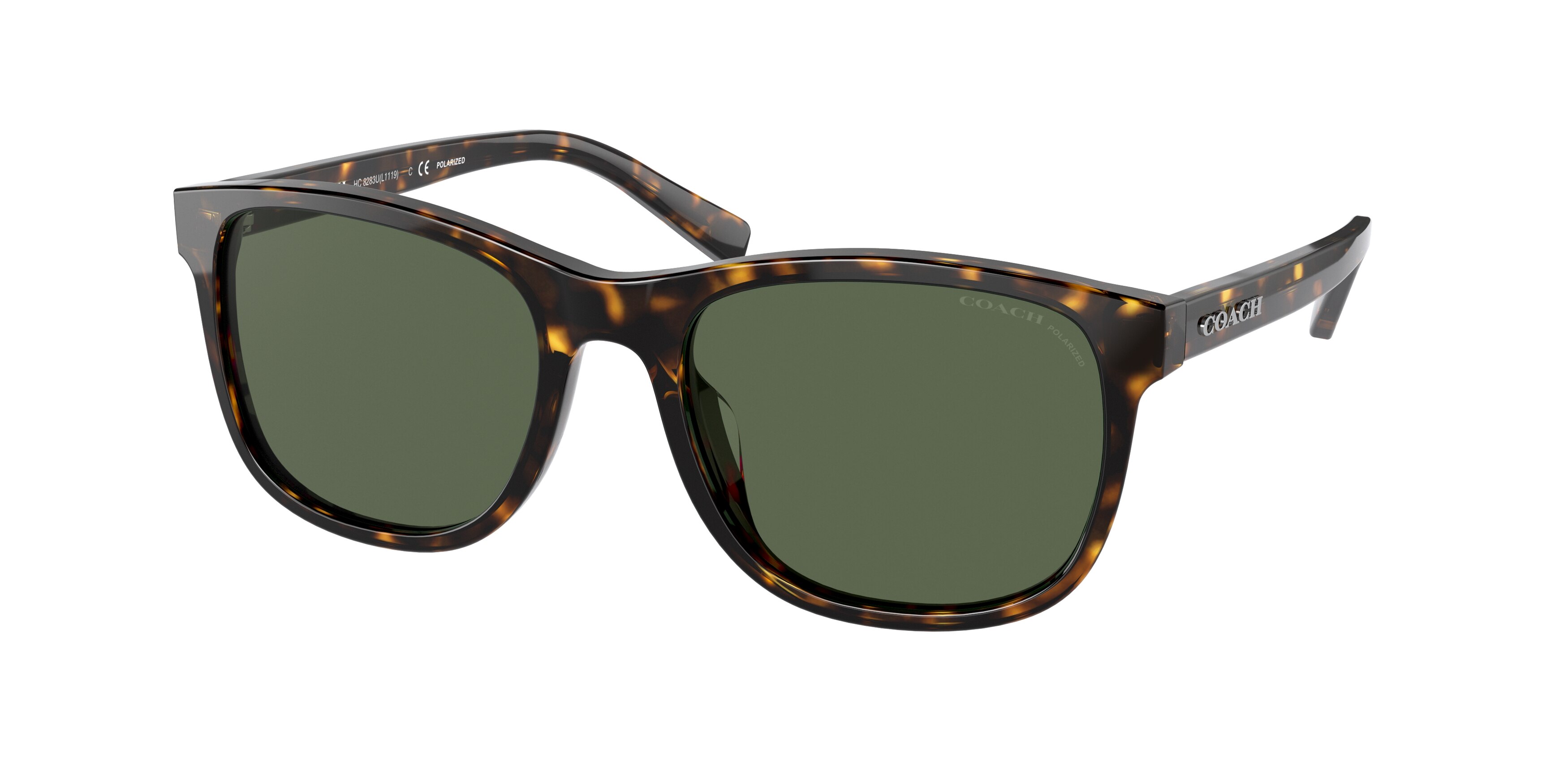  polar dark green/dark tortoise