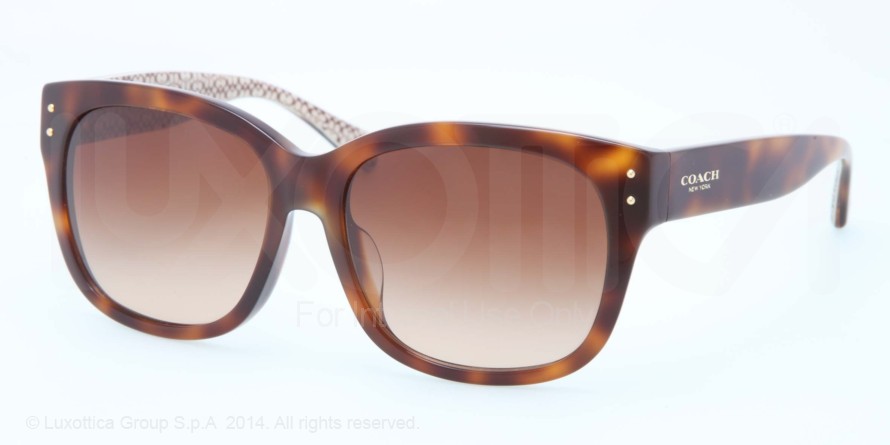  brown gradient/tortoise/tortoise sand si