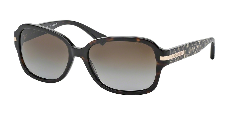  dark brown gradient polarized/dk tortoisebeige ocelot sig c