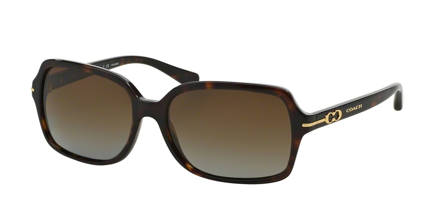  brown gradient polarized/dark tortoise