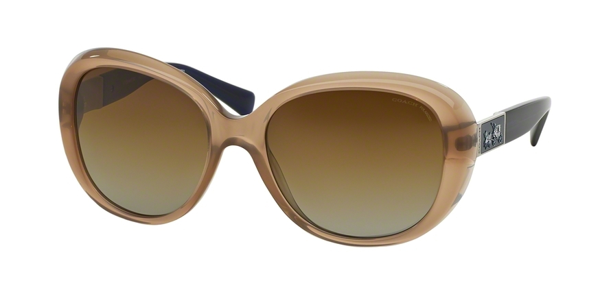  brown blue gradient polarized/milky brownnavy