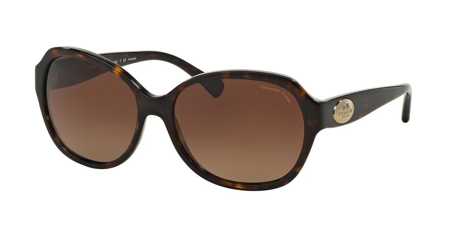  brown gradient polarized/dark tortoise