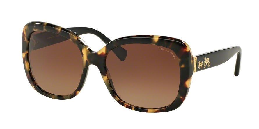  brown gradient polar/dark vintage tortoiseblack