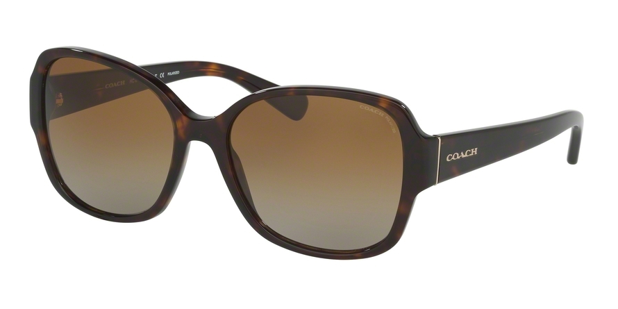  brown gradient polarized/dark tortoise