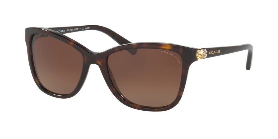  brown gradient polarized/dark tortoise