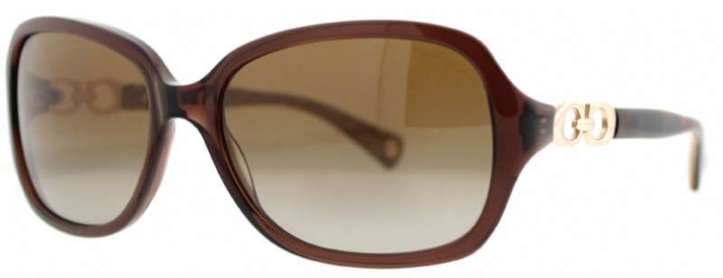  brown gradient polarized/brown