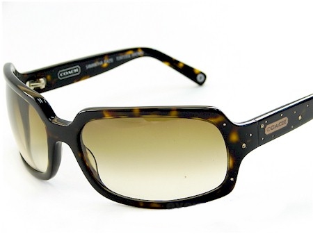 COACH SAMANTHA 425 228