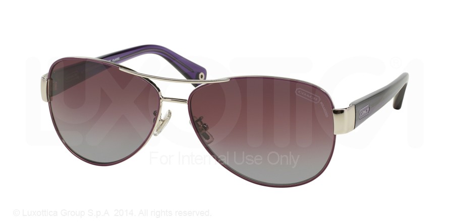  plum gradient polarized/purple