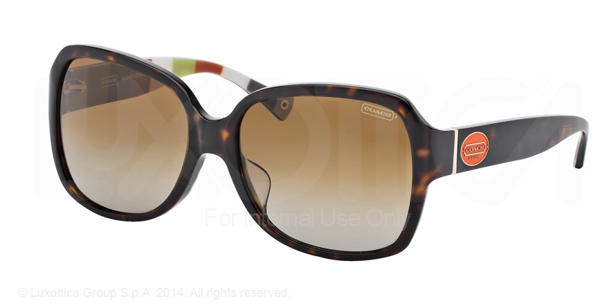  brown gradient polarized/dk tortoise/dk tortoise legacy st