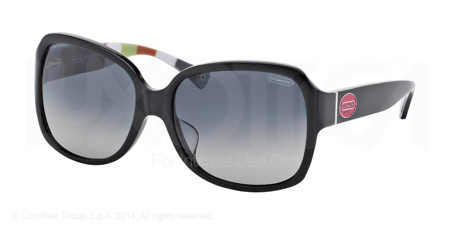  grey gradient polarized/black/black legacy stripe