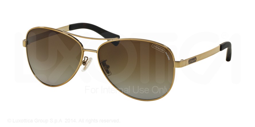  brown gradient polarized/gold/brown