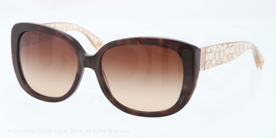  brown gradient polarized/dark tortoise/brown crystalt