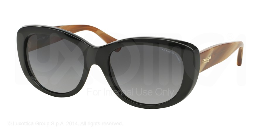  grey gradient polarized/black/light brown horn