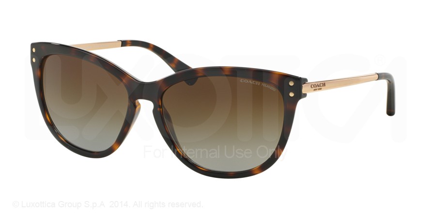  brown gradient polarized/dark tortoise/gold