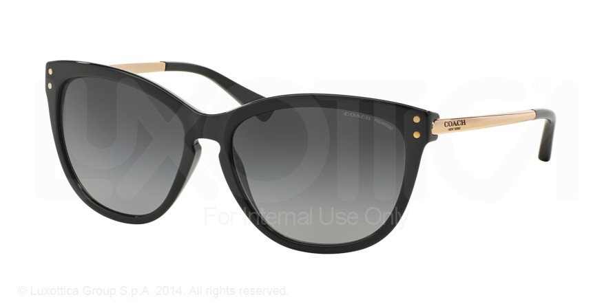  grey gradient polarized/black/gold