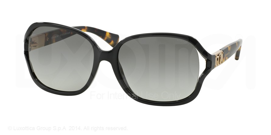  grey gradient/black/ tortoise