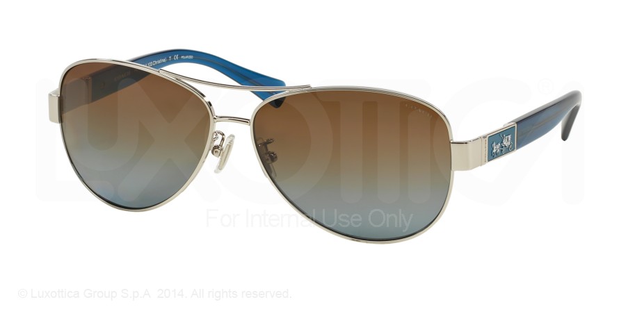  brown blue polarized/silver/blue