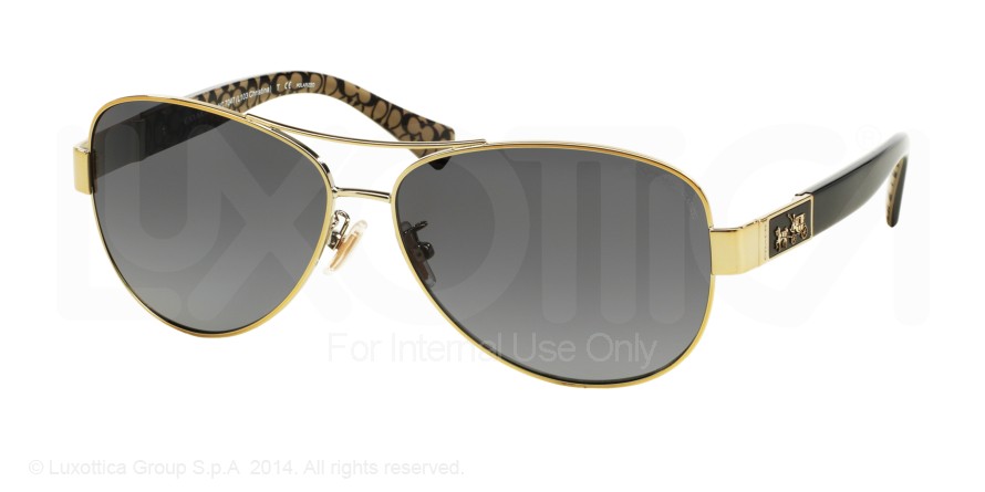  grey gradient polarized/gold/black military sig c