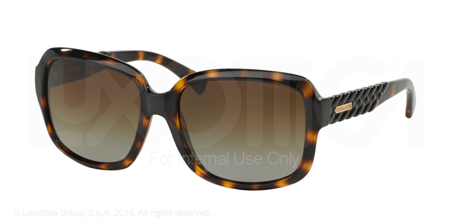  brown gradient polarized/dark tortoise