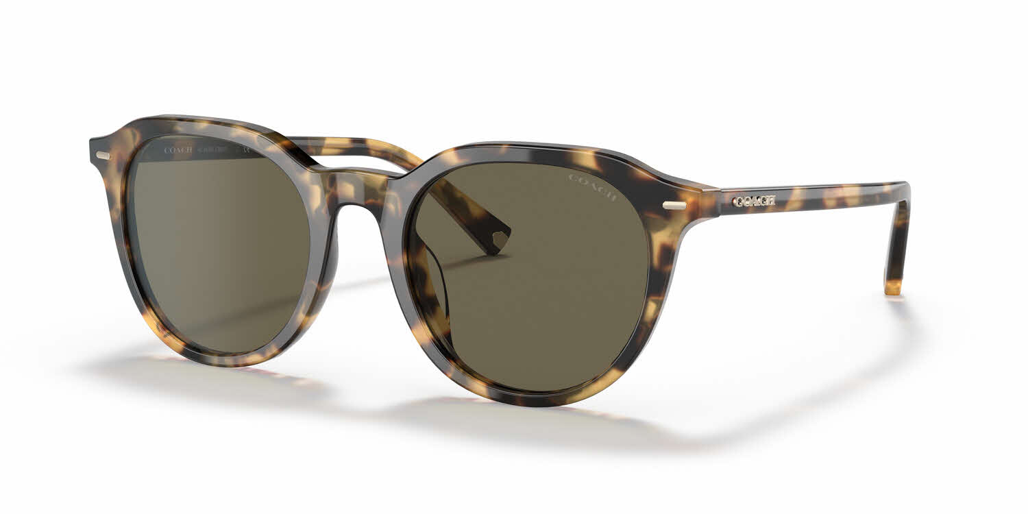  dark brown solid/tokyo tortoise