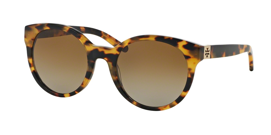  brown gradient polarized/spotty tort