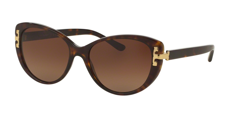  brown gradient polarized/dark tortoise