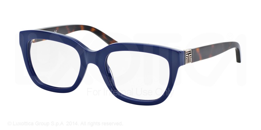  clear/navytortoise