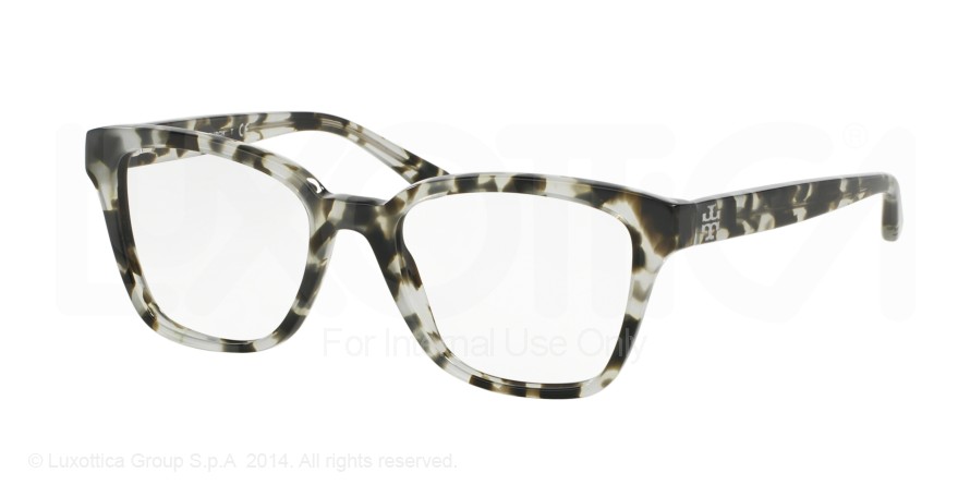  clear/grey tortoise