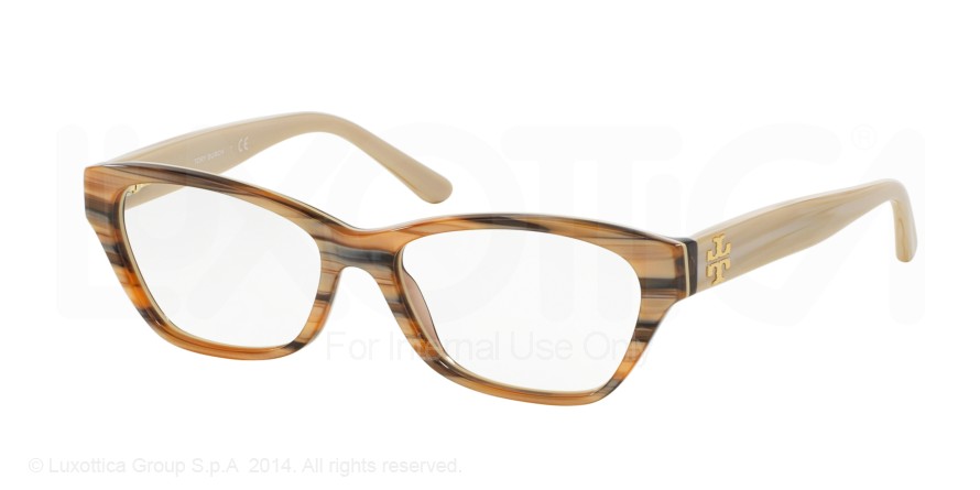  clear/metallic brown hornbeec