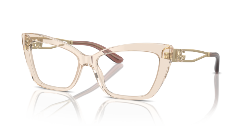  demo lens/transparent camel