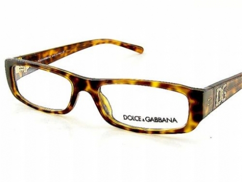 DOLCE GABBANA 3009B