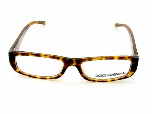 DOLCE GABBANA 3009B 669