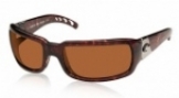 shiny tortoise/copper