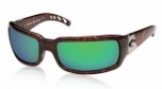  shiny tortoise/green