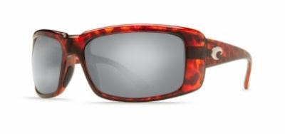  as shown/tortoise frame silver glass w580