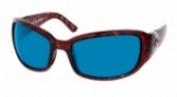  shiny tortoise/blue