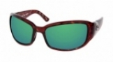  shiny tortoise/green