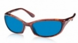  shiny tortoise/blue