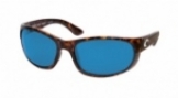  shiny tortoise/blue
