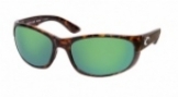  shiny tortoise/green