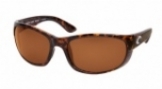  shiny tortoise/copper