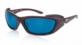  shiny tortoise/blue