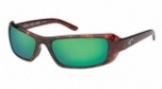  shiny tortoise/green