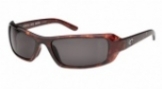  shiny tortoise/gray