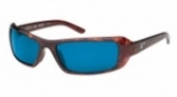  shiny tortoise/blue